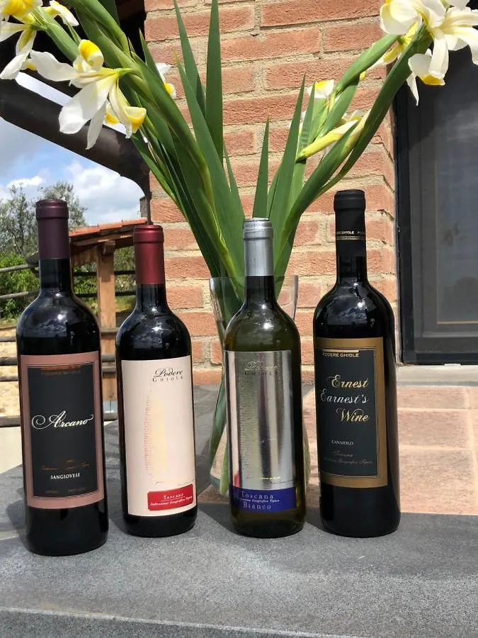Podere Ghiole Montespertoli 0*,  Italy