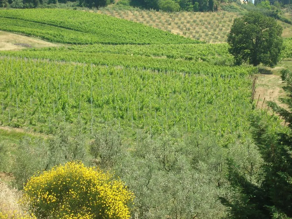 Farm stay Podere Ghiole Montespertoli